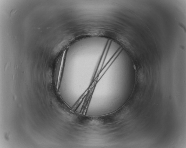 X0000103290303200809122013