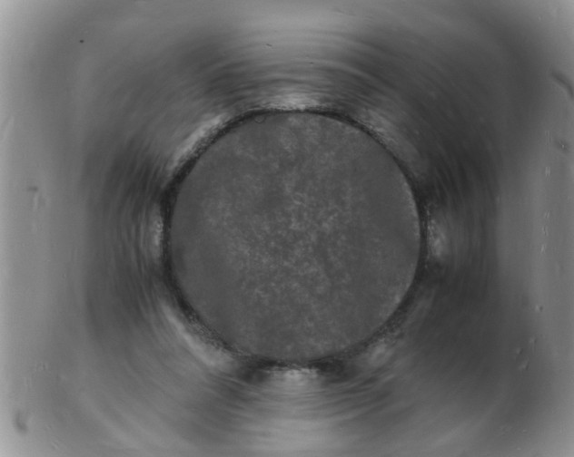 X0000103290304200809122013