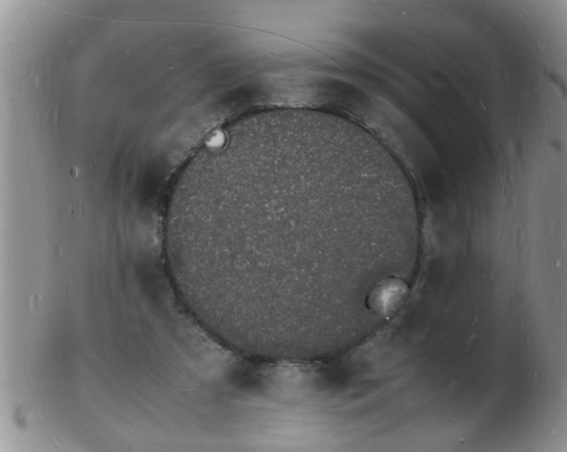 X0000103290305200809122013