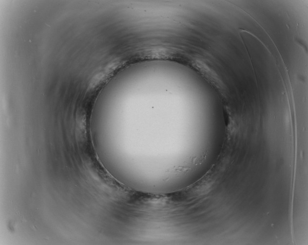 X0000103290306200809122013