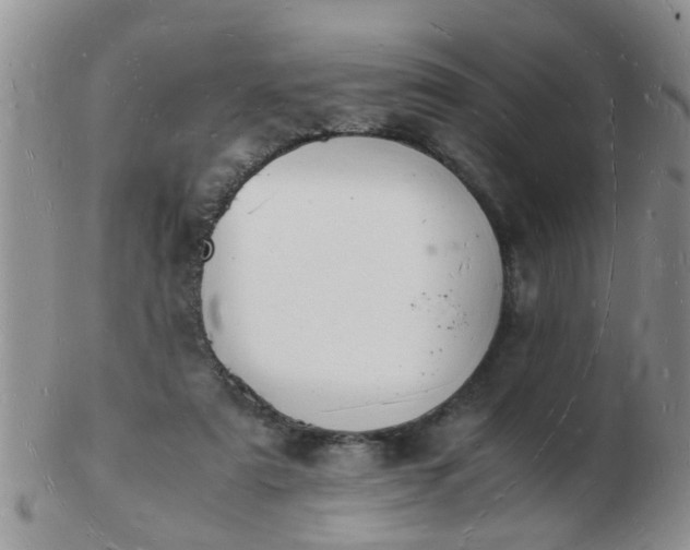 X0000103290307200809122013