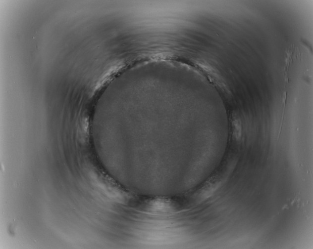 X0000103290308200809122013