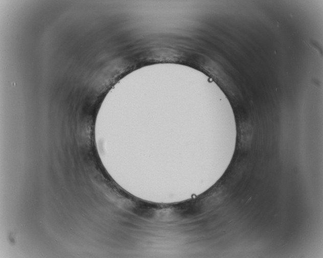 X0000103290309200809122013