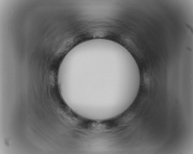 X0000103290311200809122013