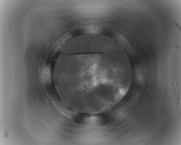 X0000103290312200809122013