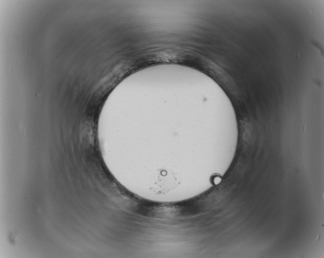 X0000103290313200809122013