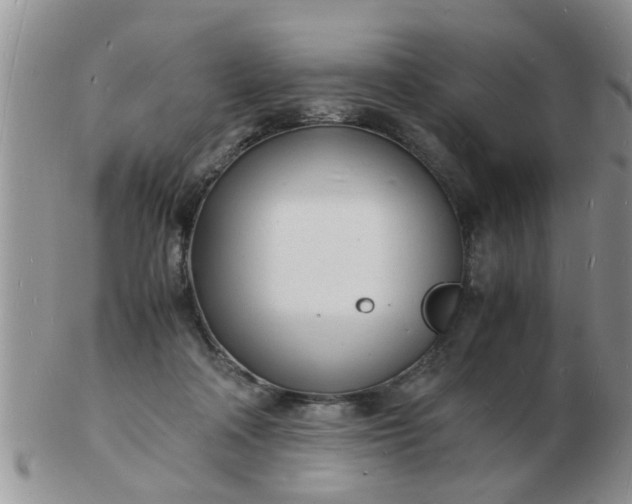 X0000103290314200809122013