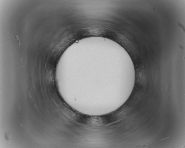 X0000103290317200809122013