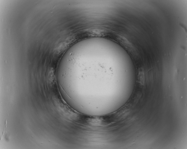 X0000103290318200809122013