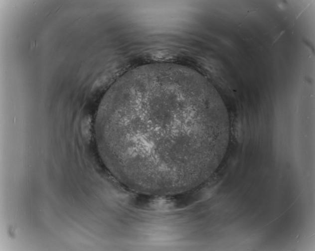 X0000103290319200809122013