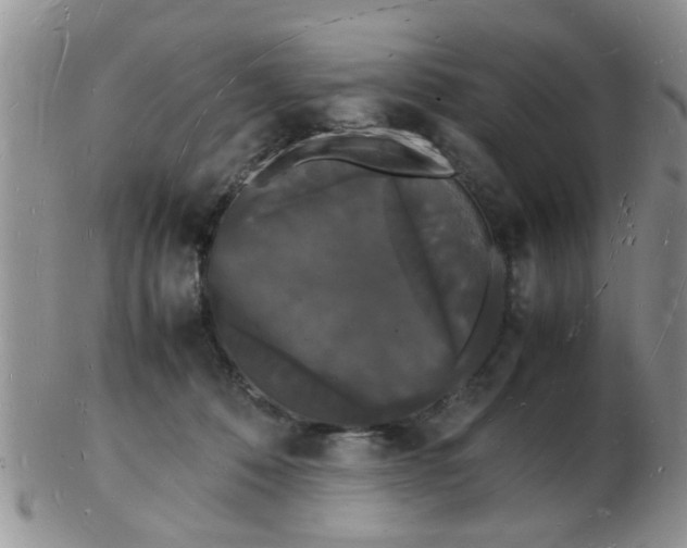 X0000103290320200809122013