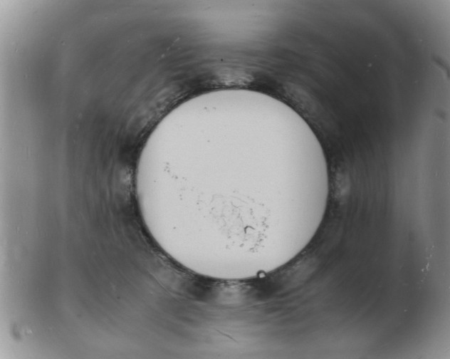 X0000103290321200809122013