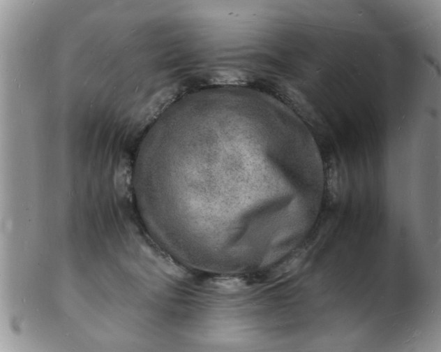 X0000103290322200809122013