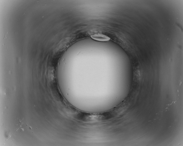 X0000103290323200809122013