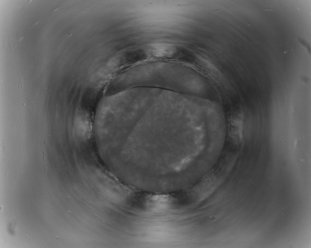 X0000103290324200809122013