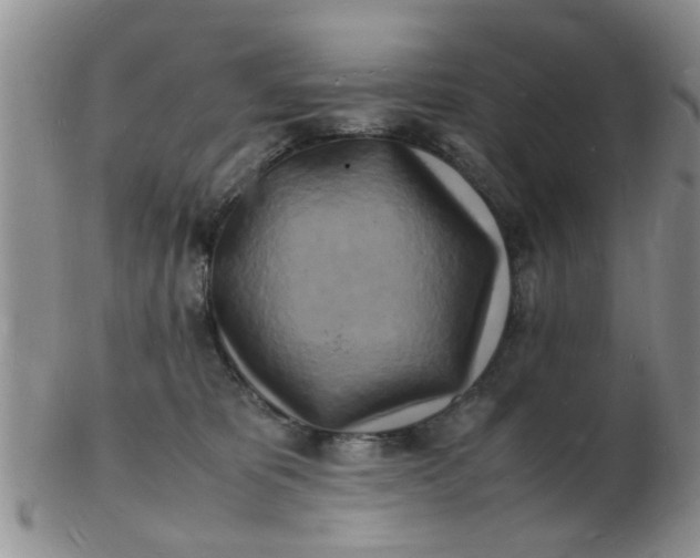 X0000103290325200809122013