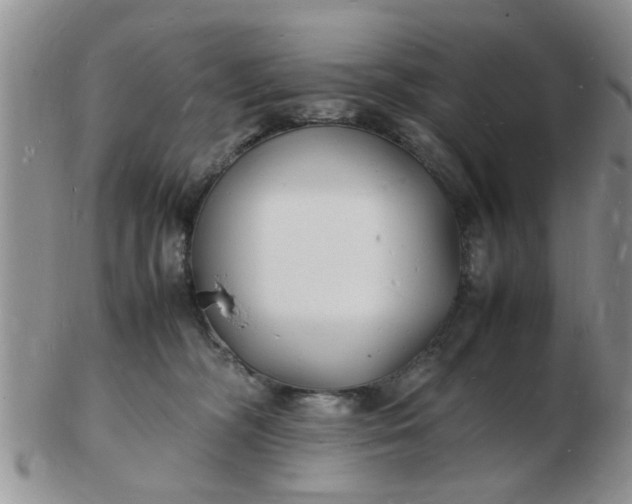 X0000103290326200809122013