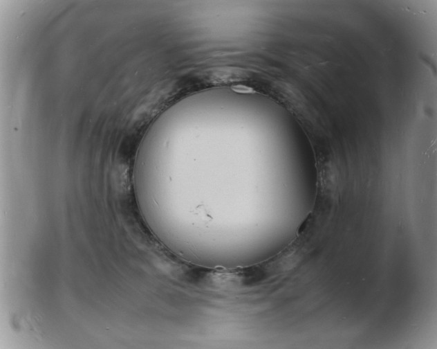 X0000103290327200809122013