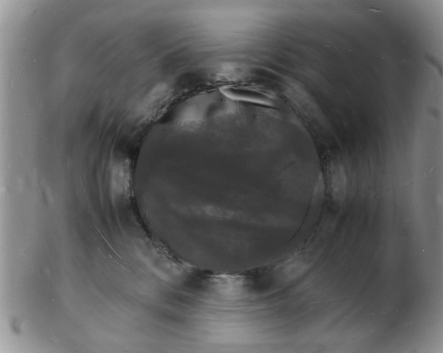 X0000103290328200809122013