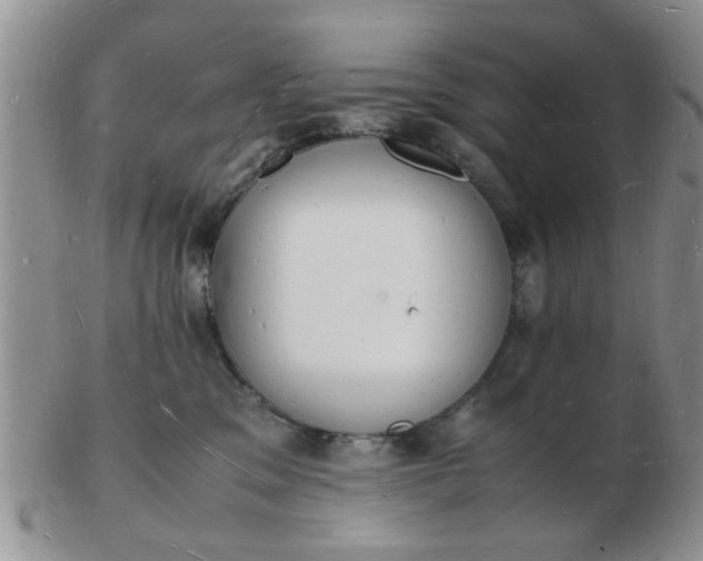 X0000103290329200809122013