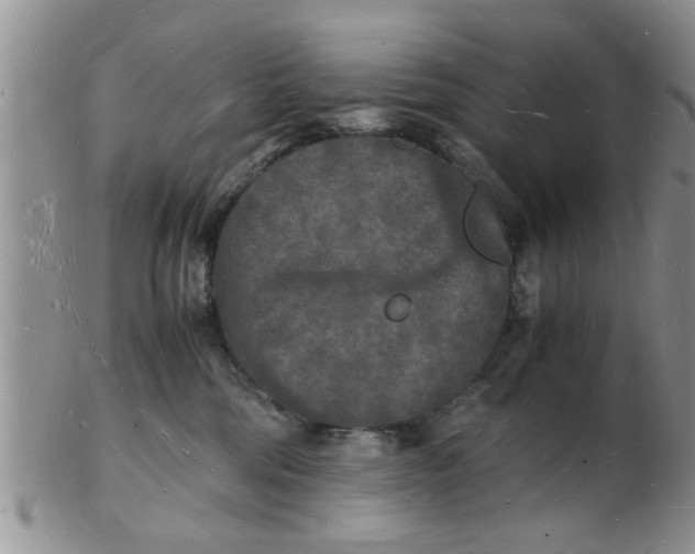 X0000103290330200809122013