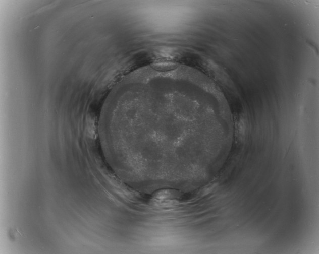 X0000103290331200809122013