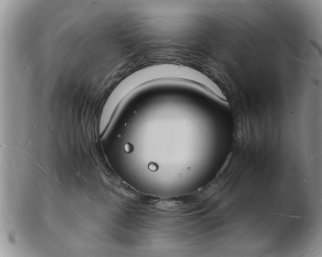 X0000103290332200809122013