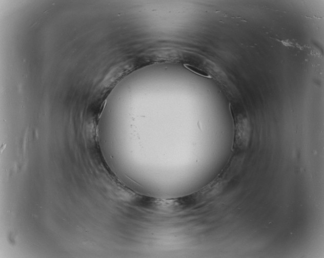 X0000103290333200809122013