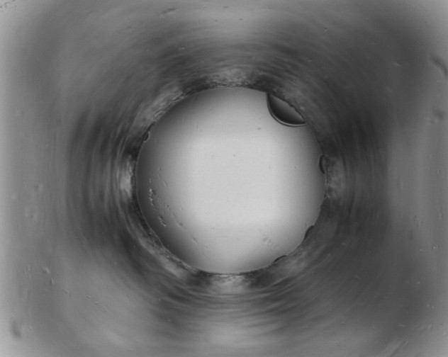 X0000103290334200809122013