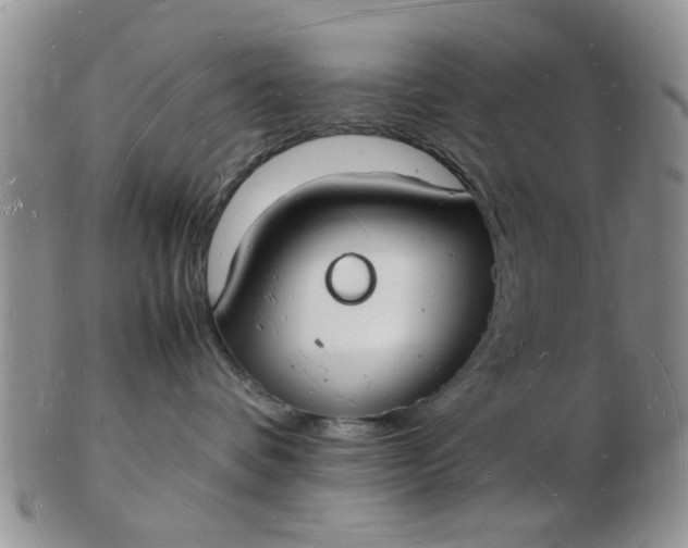 X0000103290336200809122013