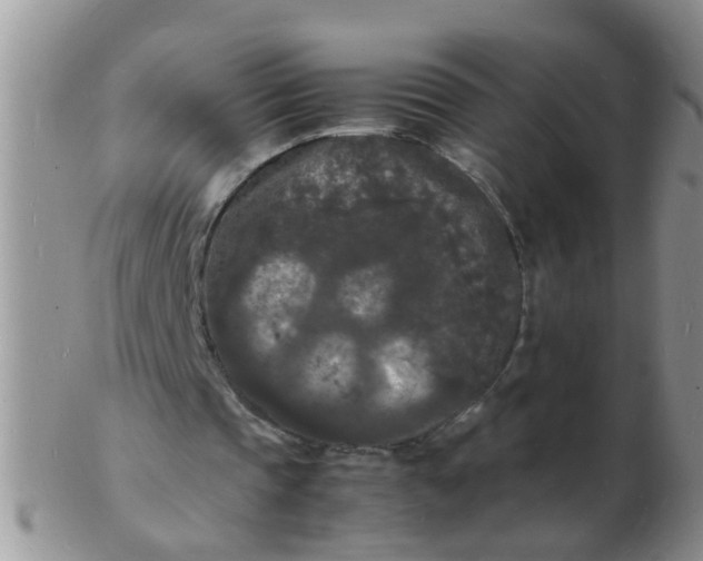 X0000103290337200809122012