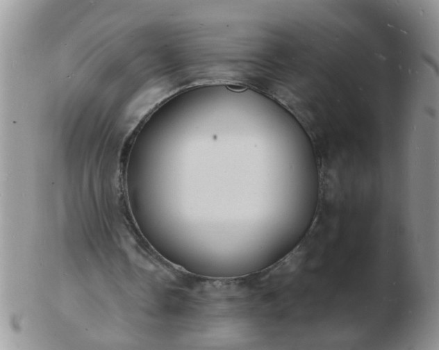 X0000103290338200809122012