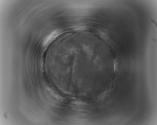 X0000103290339200809122012