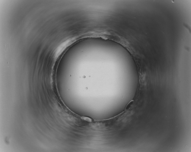 X0000103290340200809122012