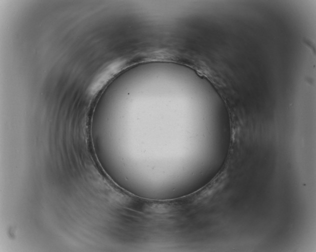 X0000103290341200809122012