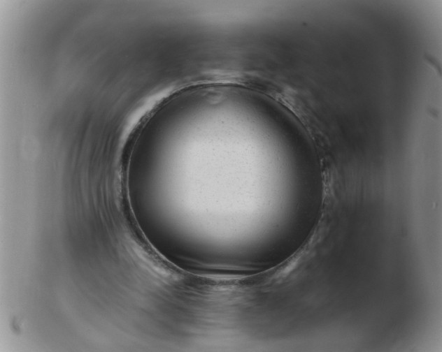 X0000103290342200809122012