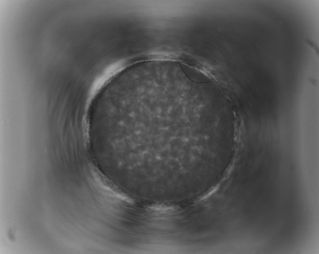 X0000103290343200809122012