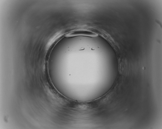 X0000103290344200809122012