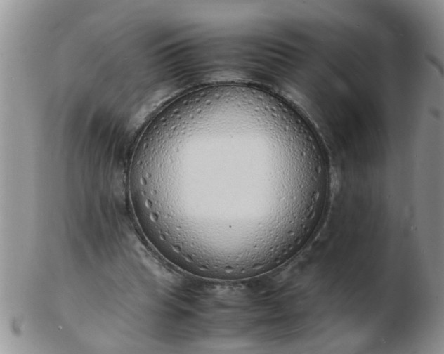 X0000103290345200809122012