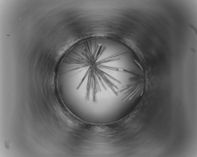 X0000103290346200809122012