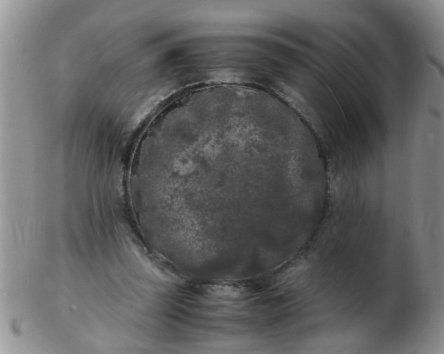 X0000103290347200809122012