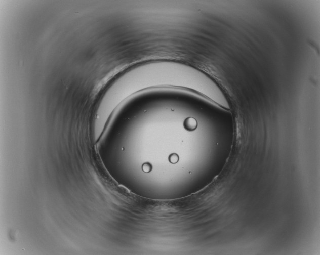 X0000103290348200809122012