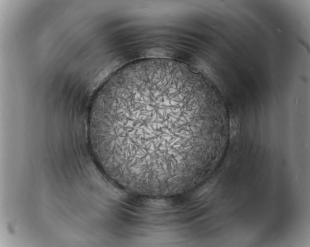 X0000103290349200809122012