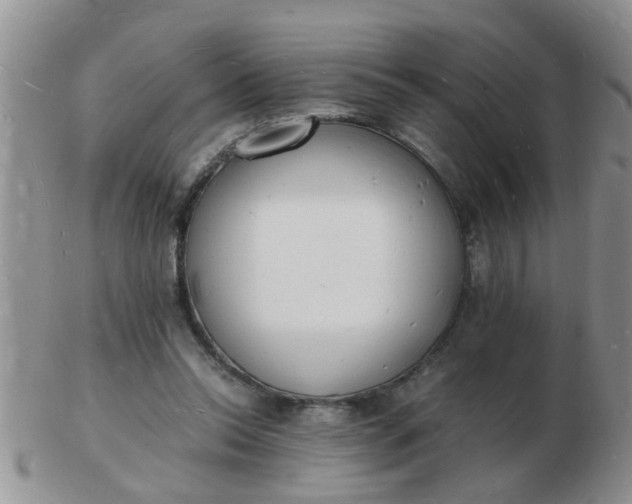 X0000103290350200809122012