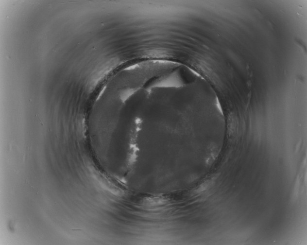 X0000103290351200809122012