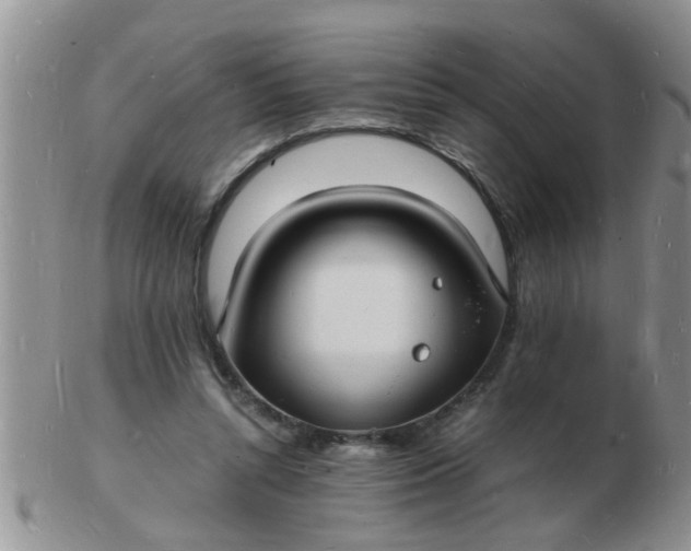 X0000103290352200809122012