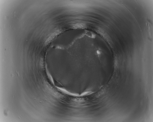 X0000103290353200809122012