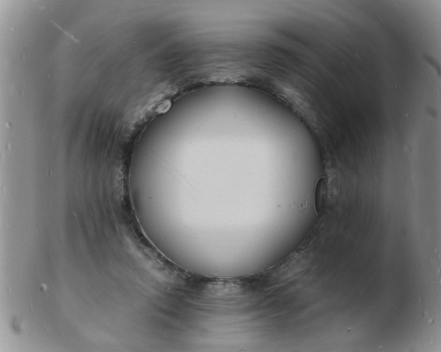 X0000103290354200809122012