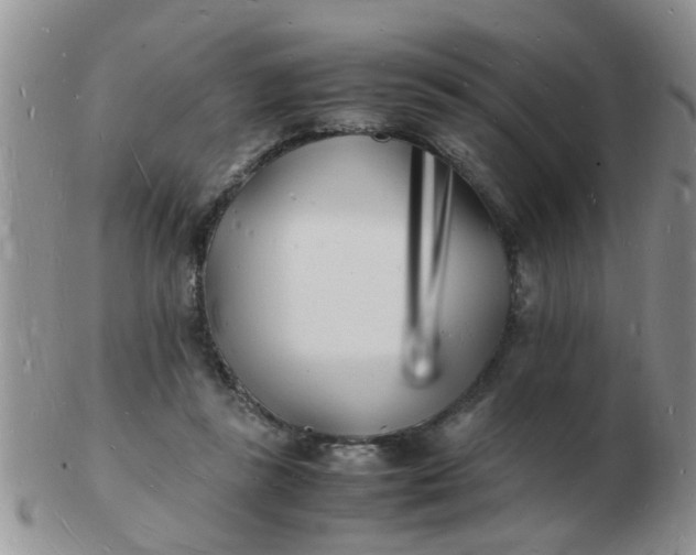 X0000103290355200809122012