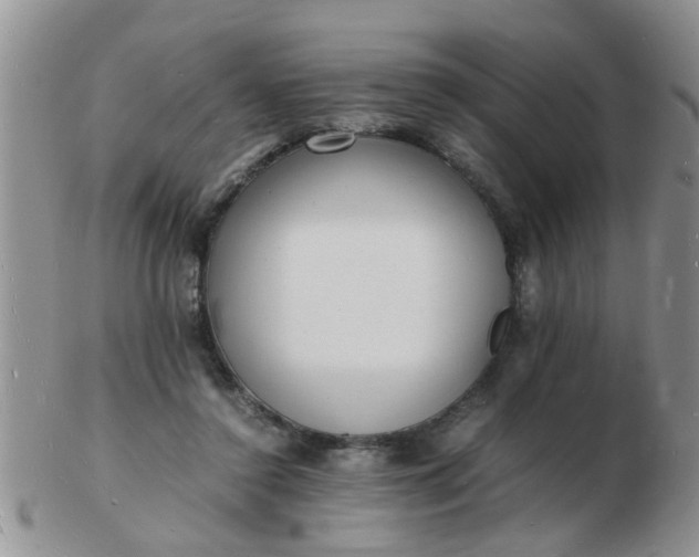 X0000103290356200809122012